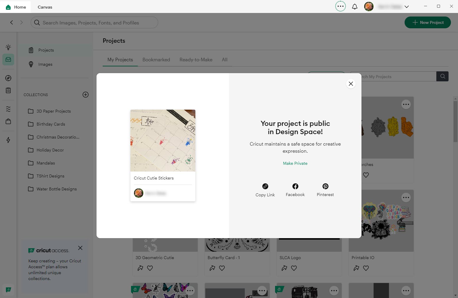 13 Project is public.jpg