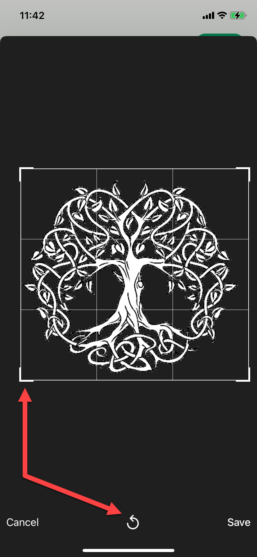 10d_Crop_tool.png