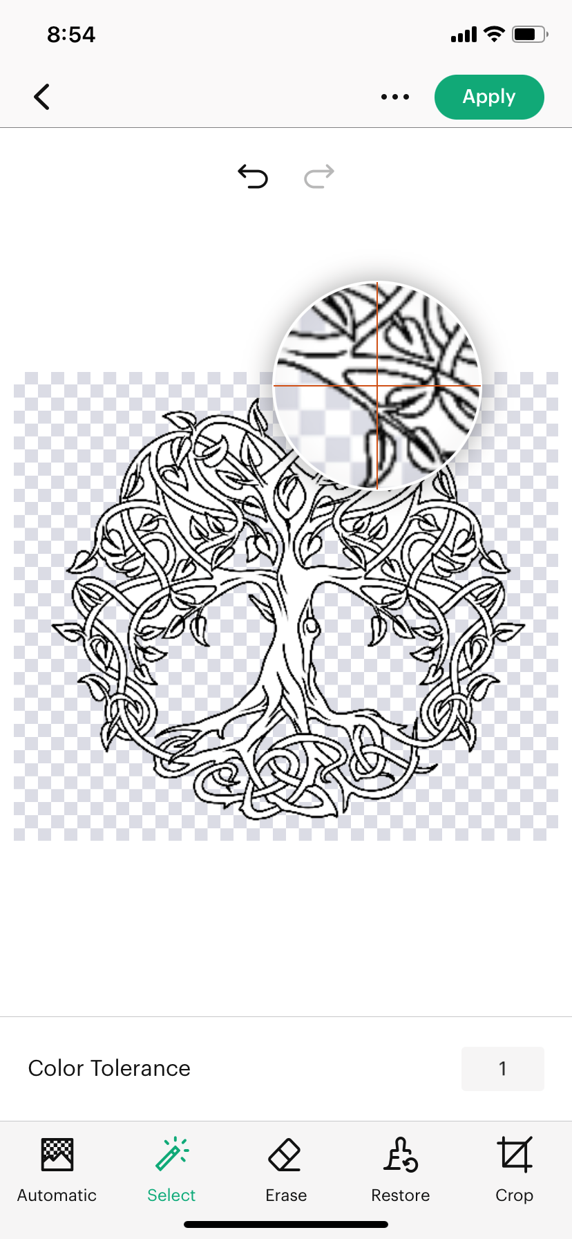 8a_Select_tool_with_precision_magnifier.png