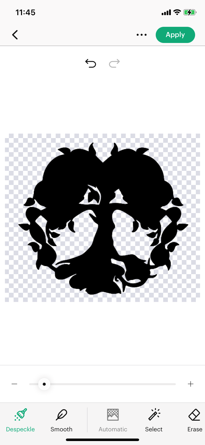 15d_Despeckle_Tool_After_Despecke.png