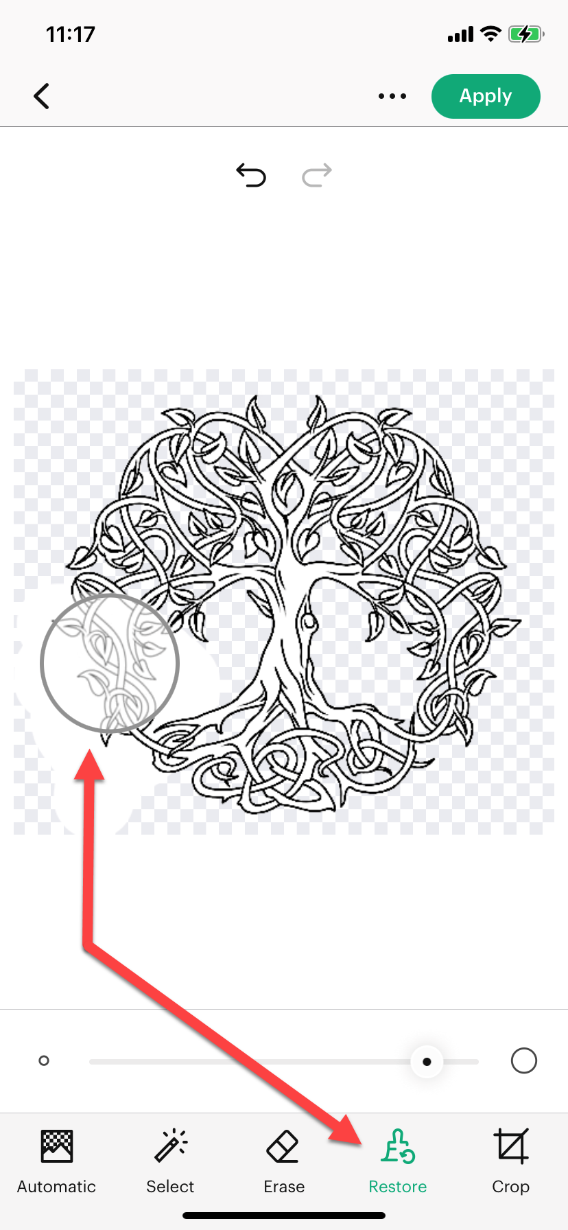14c_Restore_Brush_Large_Brush_showing.png