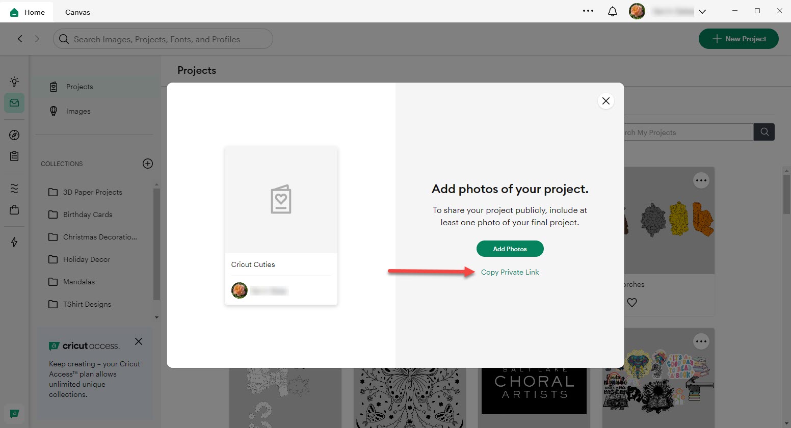 4 Select Copy Private Link.jpg