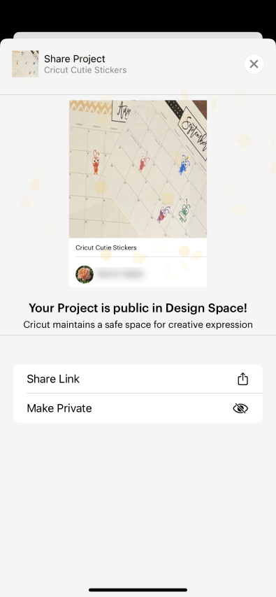 15 Your project is now public.PNG