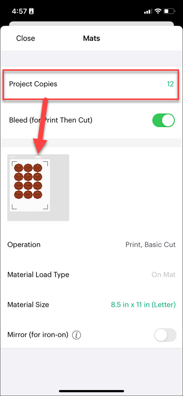 ios-project-copies.PNG