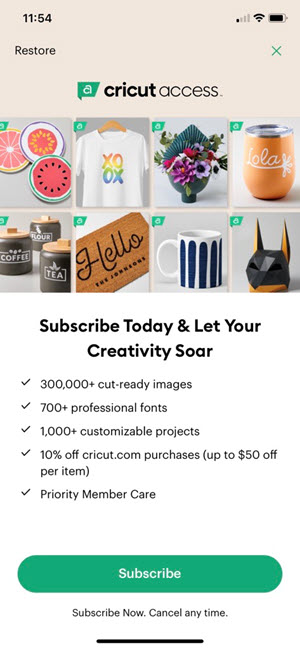 Purchase a Subscription of Cricut access  