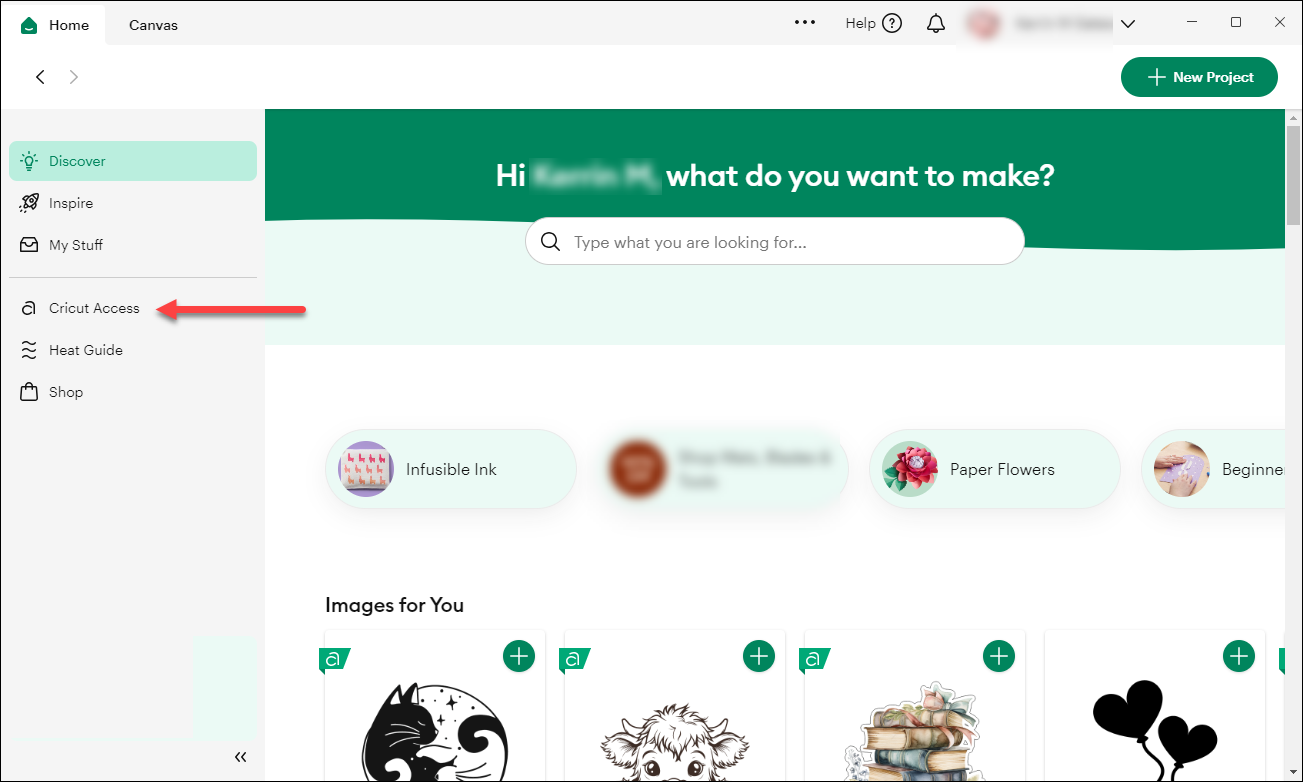 DSD Select Cricut Access.png