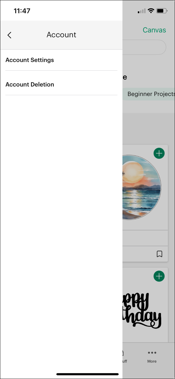 iOS Account Settings.png
