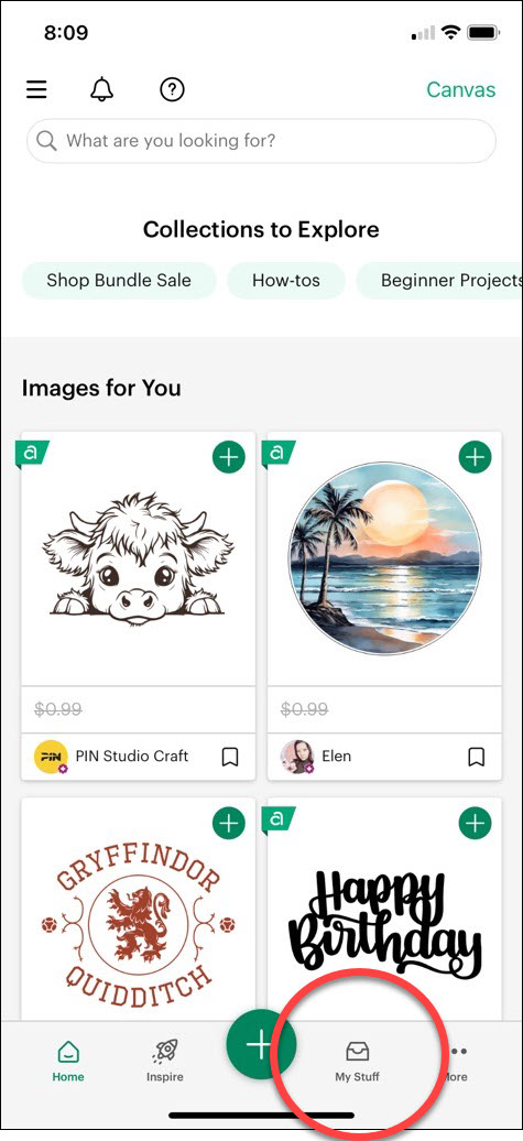 iOS My Stuff on Home Page.jpg
