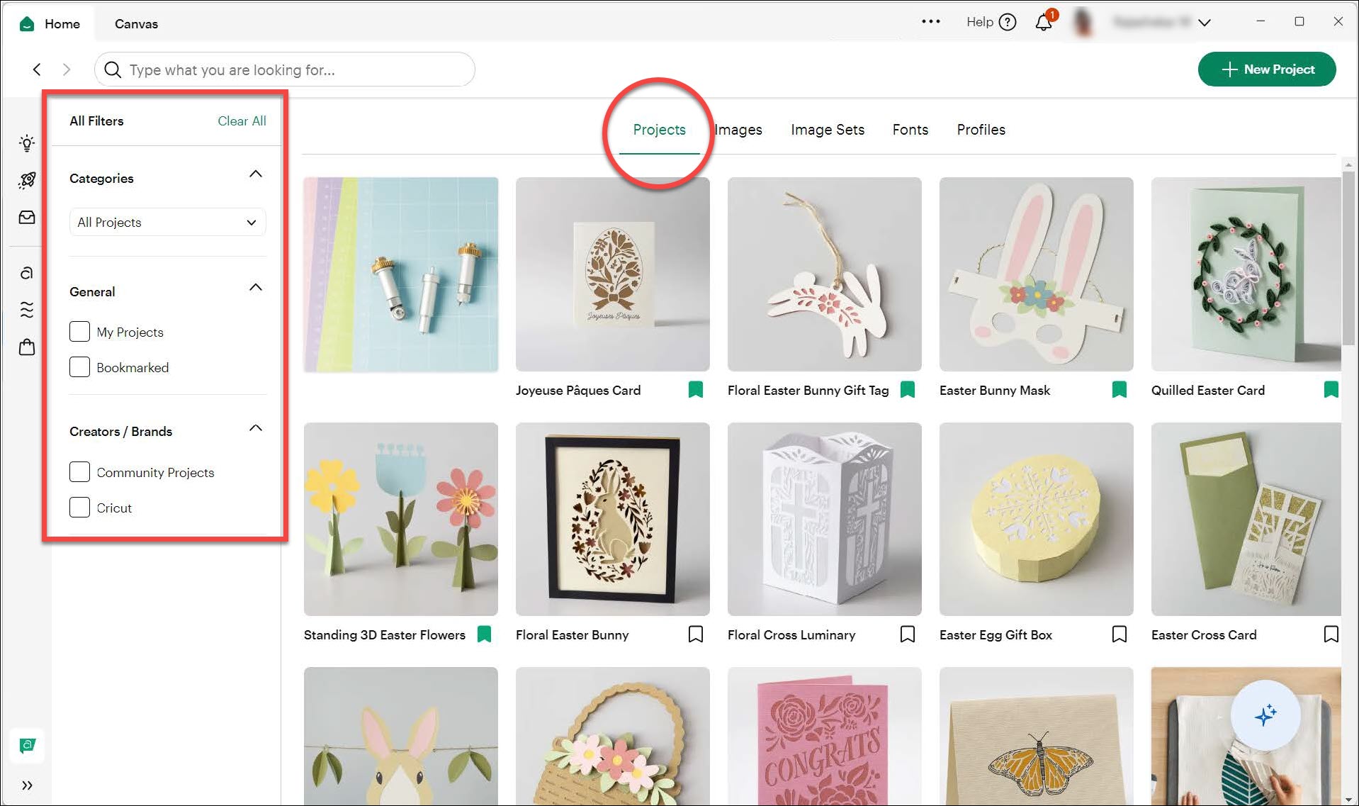 Basic Project Search Filters.jpg