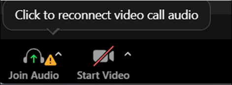 6 Zoom when audio is blocking_warning icon.png