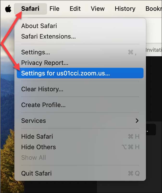 13 Safari_Click Safari then settings for Zoom site.png