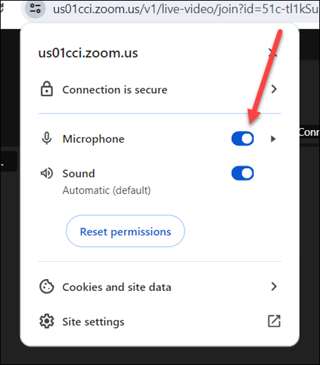 8 Chrome_Toggle option next to Microphone.png