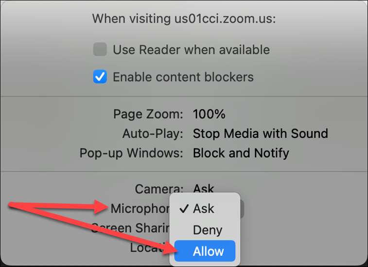 15 Safari_Click Ask next to Microphone and choose Allow.png