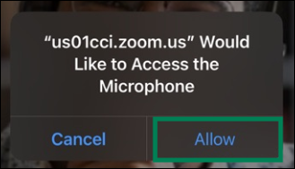 3 Zoom would like to access microphone.png