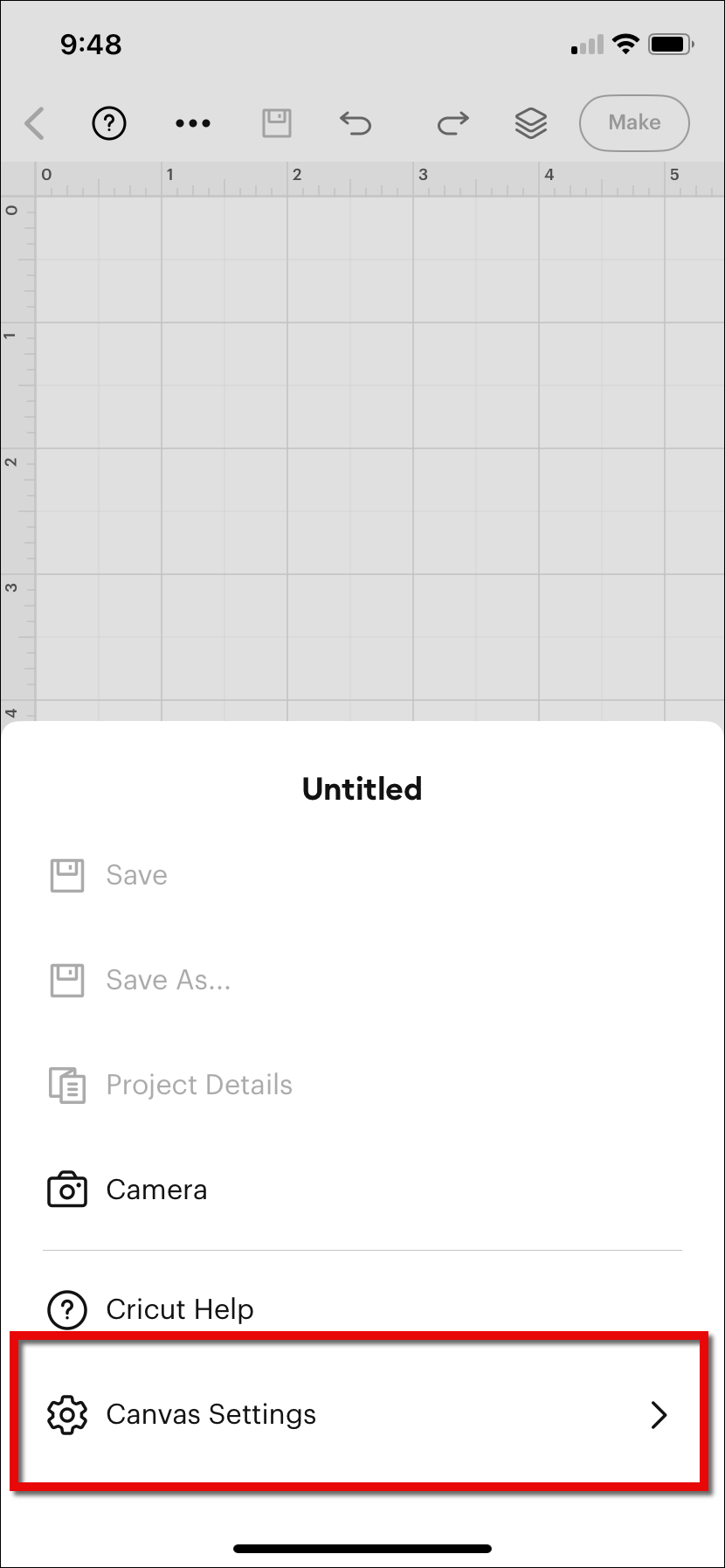 8 ios-canvas-settings-option.png