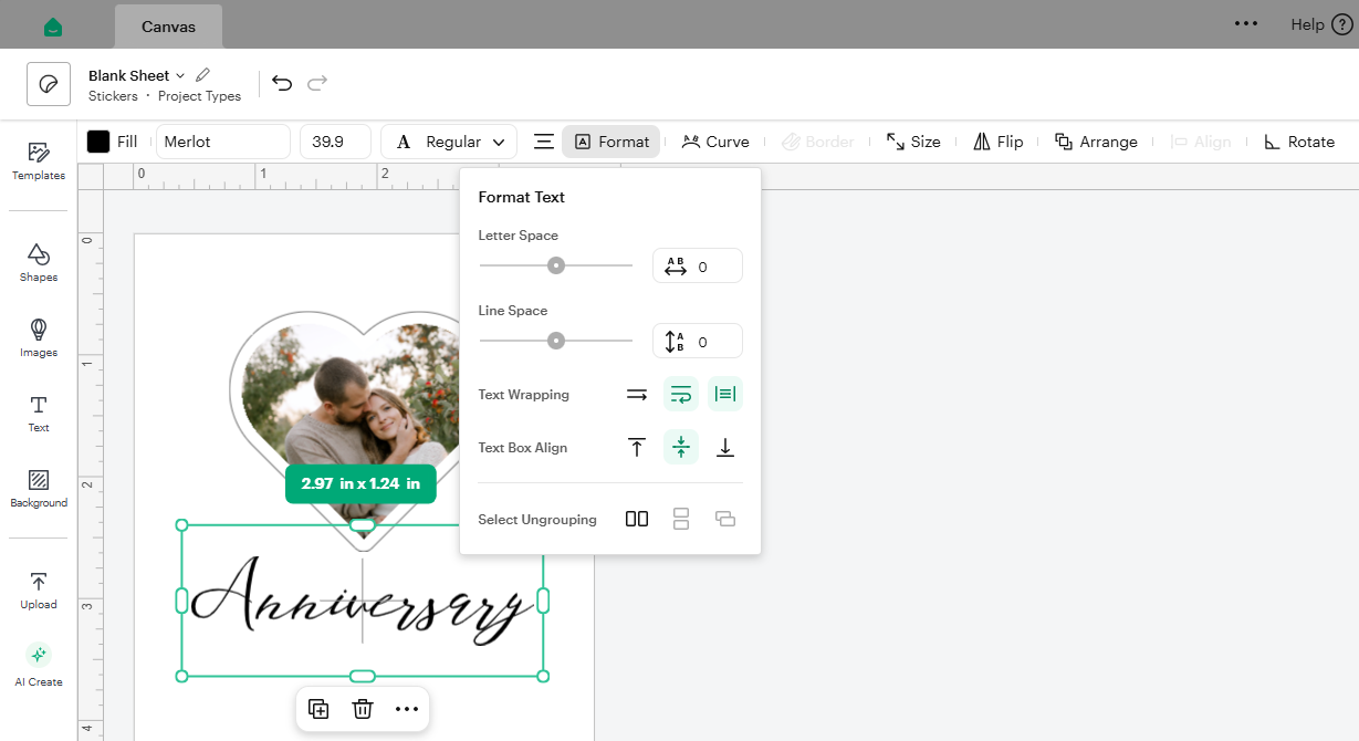 Text options.png